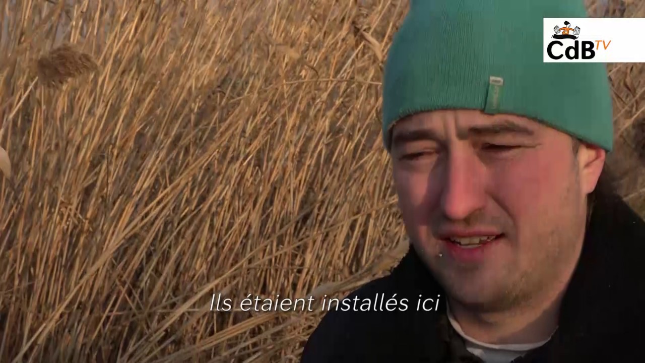 Serbie : à la frontière hongroise, les réfugiés survivent dans le froid glacial