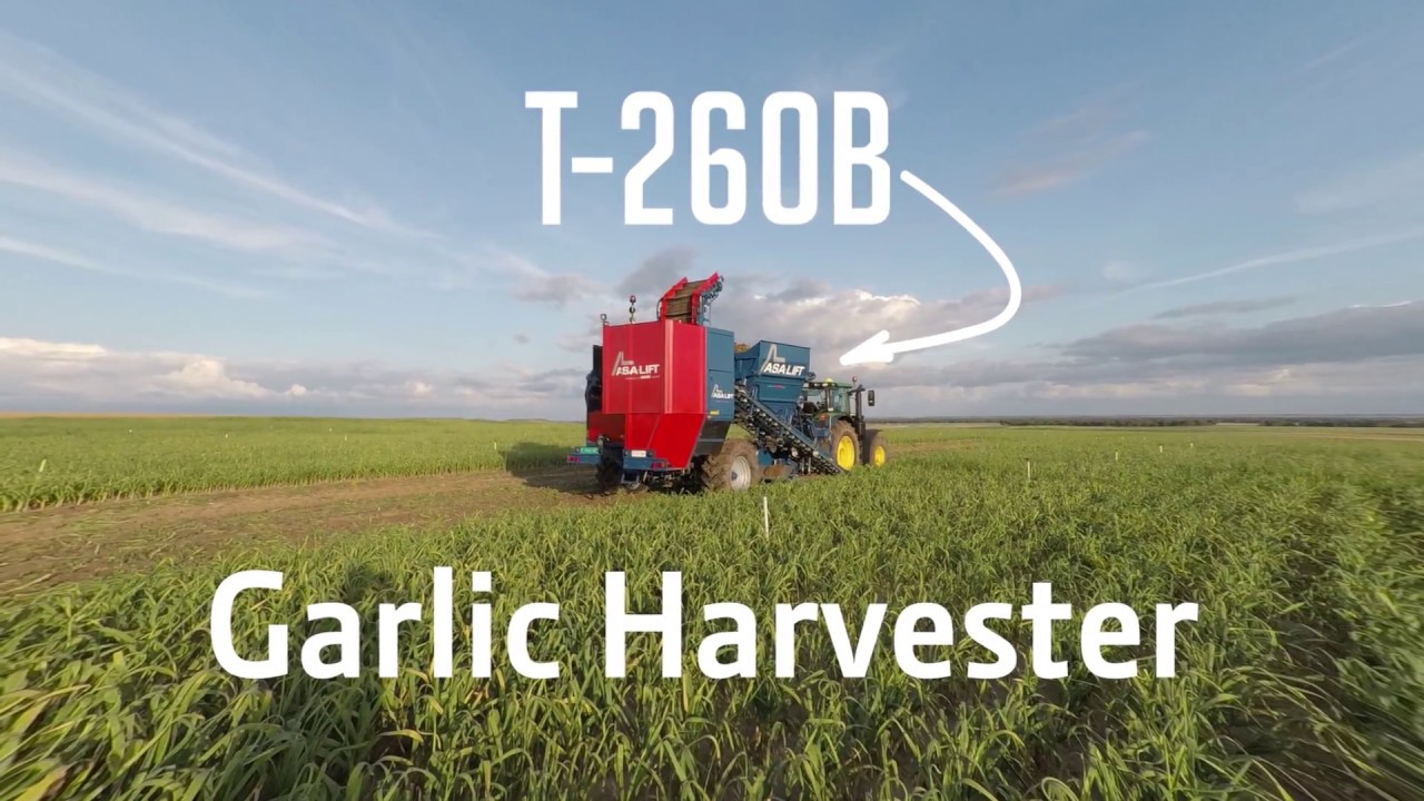 ASALIFT Garlic harvester YouTube
