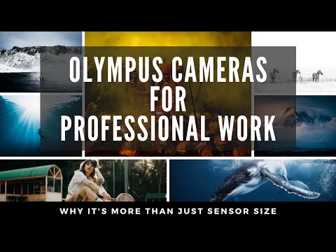 Olympus Cameras For Professional Work? | Real EXAMPLES from a PRO Photographer