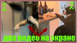 Разделение видео. Два видео на одном экране