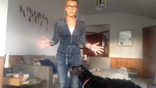 Day 3 - teaching Wag social distancing 101