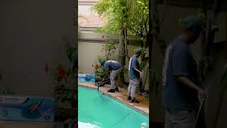 Garden &amp; Pool Reset | Easy Maintenance Tips for a Fresh Outdoor Space