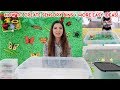 DIY Toddler Learning Activities | Sensory Bins For Toddlers + Preschoolers DIY Toddler Learning Activities | Sensory Bins For Toddlers + Preschoolers