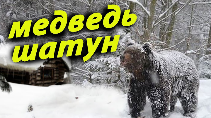 🐻🐻/ЖУТКАЯ НОЧЬ В ОХОТНИЧЬЕЙ ИЗБУШКЕ/
