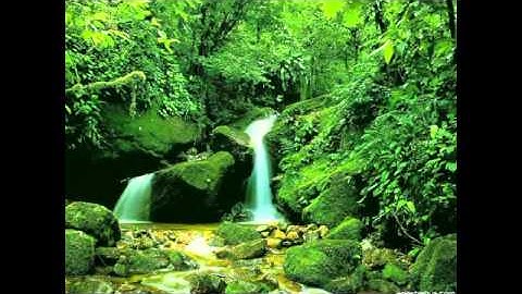 EXCLUSIF - احمد العجمي - سورة الملك.flv