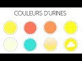 Ce que la couleur de votre urine rvle sur votre sant