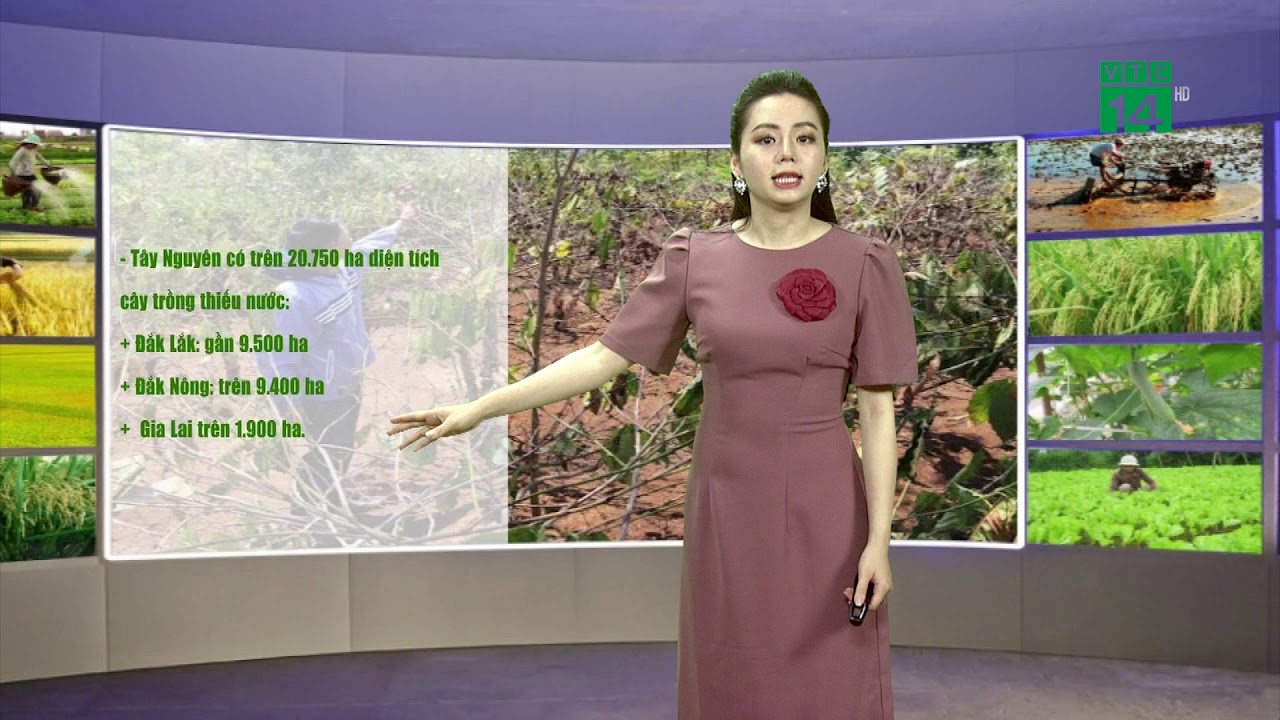 Thời tiết nông vụ 01/05/2020: Cách phòng sâu bệnh hại... - youtube