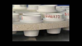 WS3000.mov