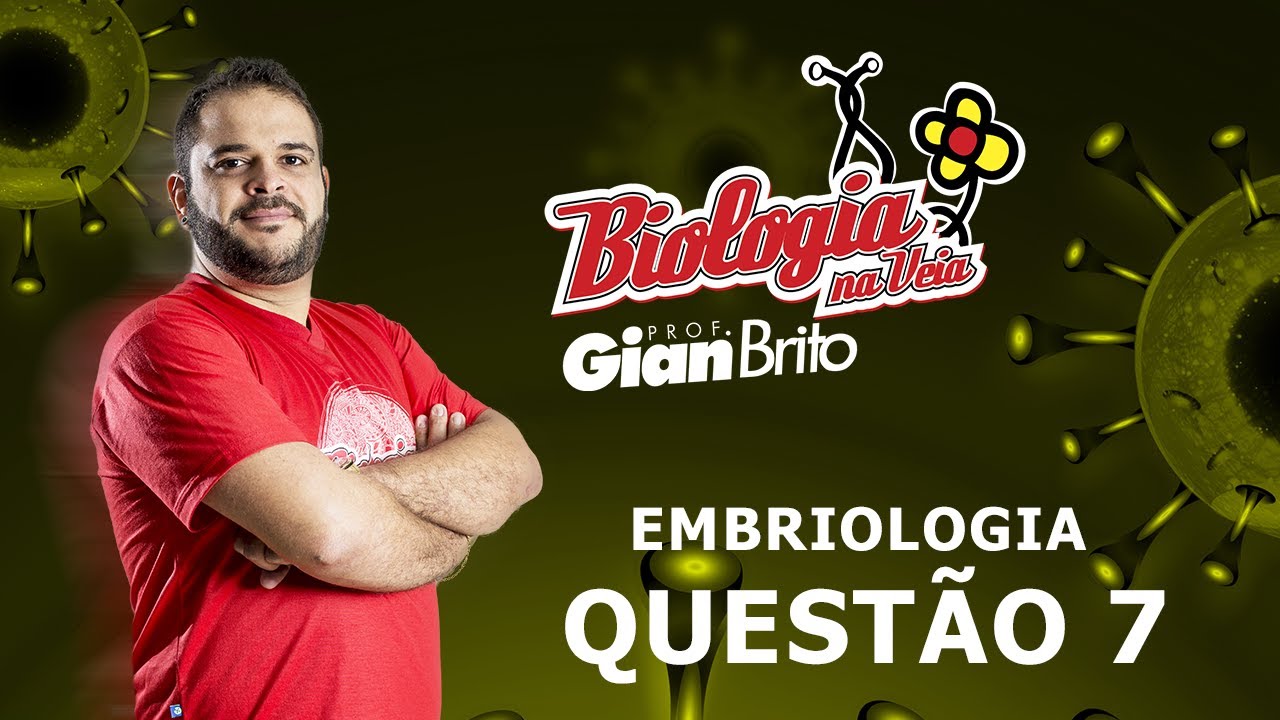 OVULAÇÃO E A FECUNDAÇÃO - QUESTÃO 7 EMBRIOLOGIA