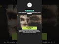 Tech News - 08/11/2024 | School of Coding & AI #shorts