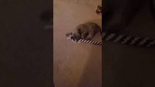 20211205 1655221