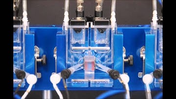 P2300 Ussing Chamber