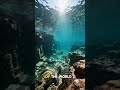 The Largest Lake in the U.S. Explained | Lake Superior