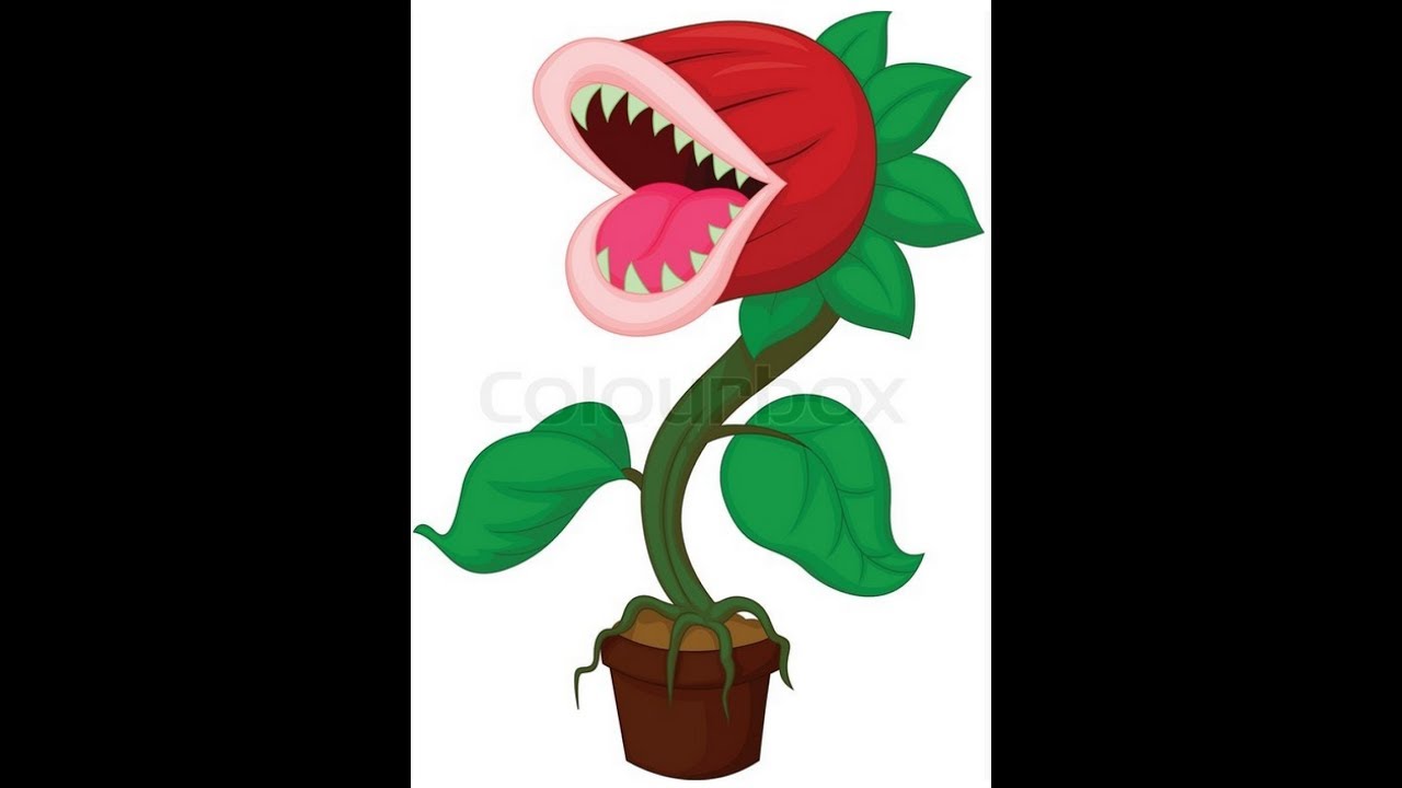 Adele hat noch nicht zu abend gegessen - YouTube