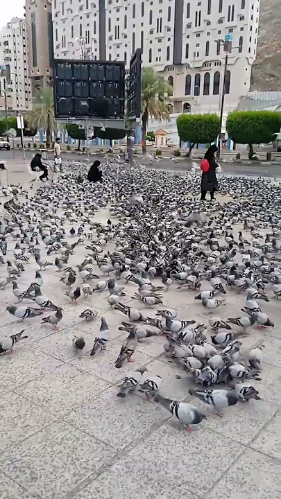 مكه المكرمه الحرم المكي الشريف حمام الحرم