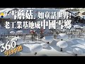 【360°今日中國】太夢幻!來場黑龍江冰雪之旅 童話般的「中國雪鄉」@全球大視野Global_Vision