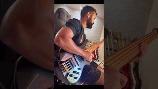 Novo Strinberg Next 5 Cordas Headless Fanned