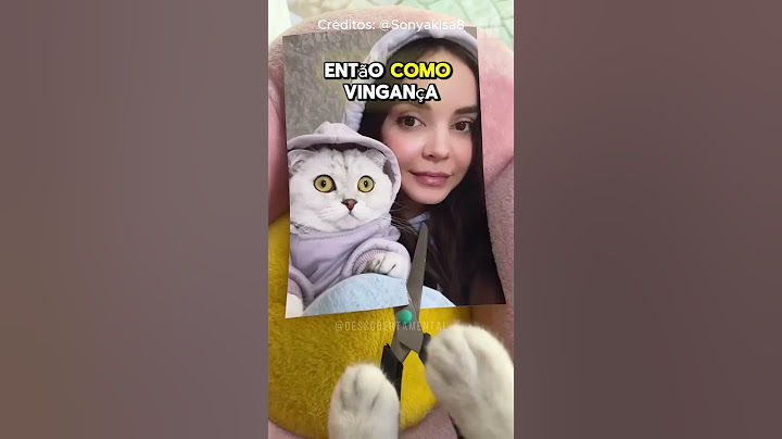😸🤳 THIS CAT TORE UP HIS OWNER'S PHOTOS! @Sonyakisa8 #lucas #humor #funny