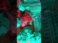 TUNAUZA HERENI ZA MIFUGO ZENYE NAMBA NA ZISIZO KUWA NA NAMBA PAMOJA NA PENI YAKE TUNAUZA HERENI ZA MIFUGO ZENYE NAMBA NA ZISIZO KUWA NA NAMBA PAMOJA NA PENI YAKE