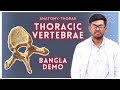 'Typical Thoracic Vertebra'- Bangla Demonstration.(Thorax Card) #whiteapron #thorax #demonstration