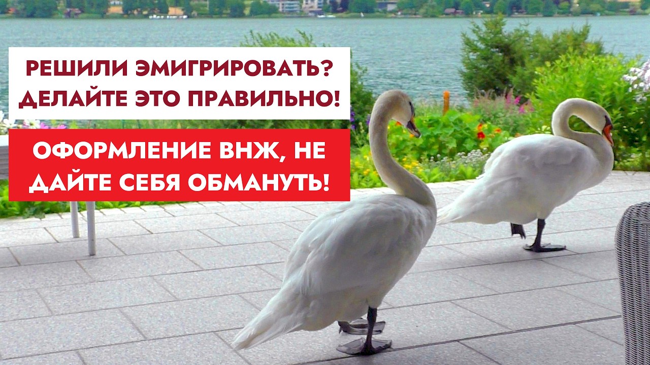 Оформление ВНЖ. Как не дать себя обмануть? Важный лайфхак.