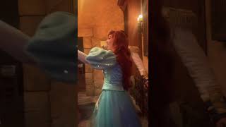 Meeting Ariel and Prince Eric in Magic Kingdom 🧜🏻‍♀️✨ #disney #disneyworld #thelittlemermaid