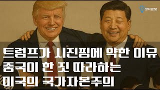 트럼프가 시진핑에 약한 이유. 중국 따라하는 미국의 국가자본주의 #엔비디아 #국가자본주의