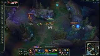 nidalee combo