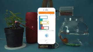 GraspIO Cloudio - Voice Assistant Net Worth