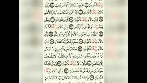 سورة الرحمن بصوت يهز القلوب القارئ يوسف أبكر