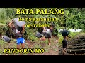 BATA PALANG NAGHAHANAP BUHAY NA PANOORIN