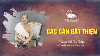 6. Các Căn Bất Thiện | Minh Sát Tu Tập - Nữ Thiền Sư Achaan Naeb screenshot 5