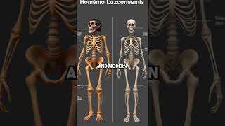 This Anthropological Discovery Of A Mysterious Species In The Philippines Reset Human Evolution