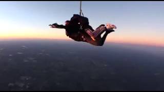 Swoopware: Skydive - larry
