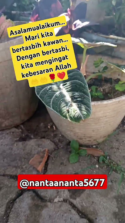 Mari kita bertasbih kawan. Dengan kita bertasbih. Kita mengingat kebesaran Allah. #tasbih