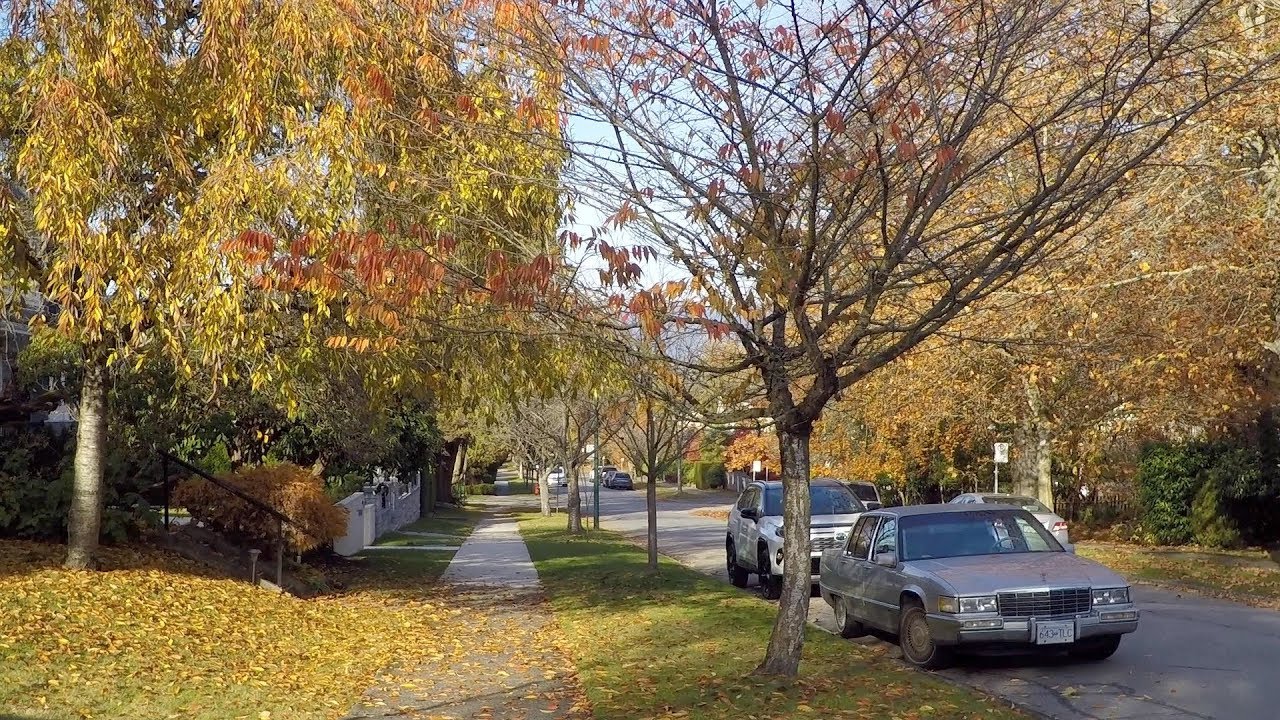 VANCOUVER BC CANADA in Fall. Shaughnessy Area. Walking Around the City