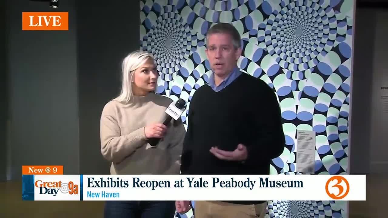 Yale Peabody Museum