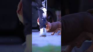 Tri State Sold To China For 300K