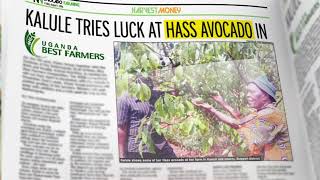 Get Harvest Money pullout In the New Vision August 07, 2026