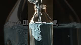 The Home Tornado in a Bottle