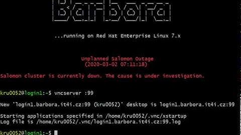 VirtualGL Visualisation