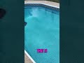 V3 Pool Cleaner: AI Vision Cleans Pools in MINUTES!