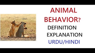 What is Animal Behavior? | Examples | Importance | Uses | Urdu/Hindi