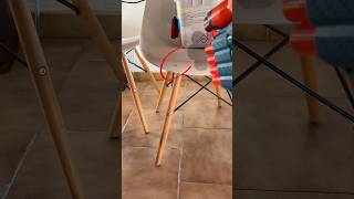 ZeeBANG revenge #mosquito #moustique #new #zeebang #shorts