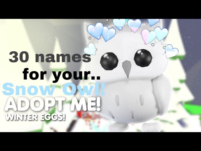 30+ Cute Pet names for your SNOW OWL + Ride potion winner 