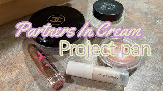 #PartnersInCream Project Pan Update #4