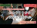 【たねの学校】在来野菜料理の試食とコンニャク作り/たねとり初心者勉強会