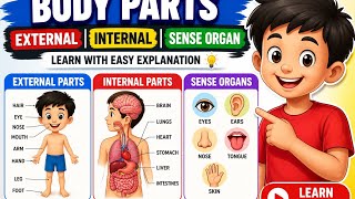 Body Parts for Kids | External & Internal Organs
