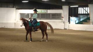 Reining Show at the Tacoma Unit