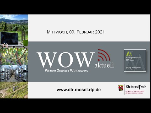 WOW aktuell 09 02 2021